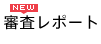 大会の様子