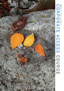 workbook